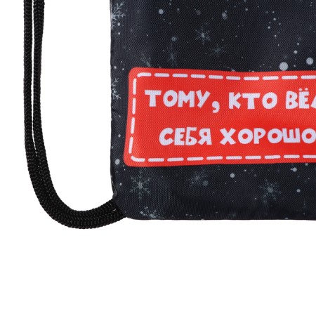 New Year. Bag for sweets 290 x 340 mm "Parcel from Santa Claus" (soft polyester density 210d)-4
