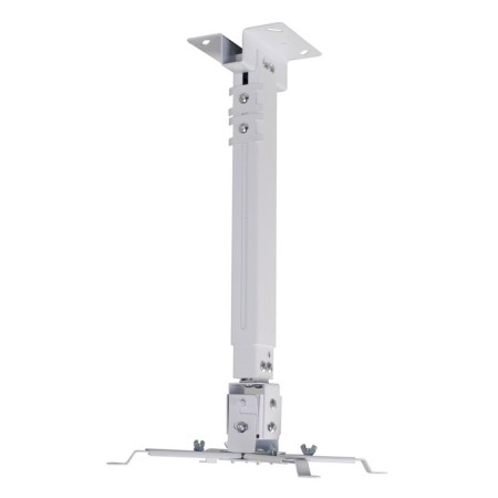 Cactus CS-VM-Pre01-WT, 20 kg, wall and ceiling, turn/slope for the projector-1