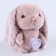 Soft toy in showbox, bunny, mix