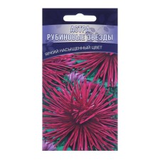Flower seeds Astra 