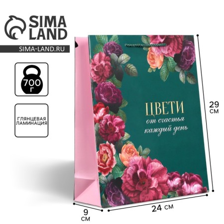 Gift package laminated, packaging, “every day”, m 24 x 29 x 9 cm-1