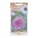 Seeds of flowers cabbage decorative "Lace toad", F1, mixture, 10 pcs