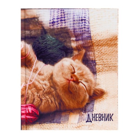 Diary for grades 1-4, "kitten", solid cover 7BC, glossy lamination, 48 sheets