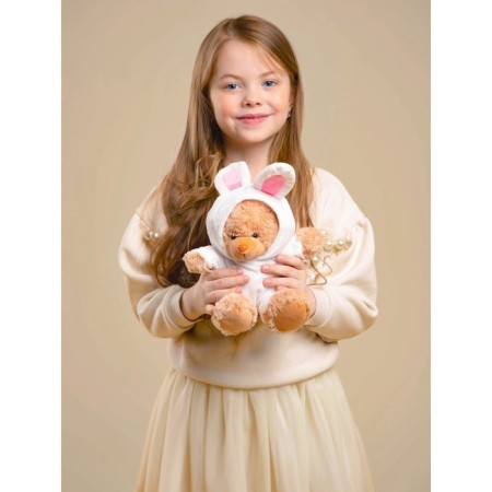 Soft toy "Bear in a hare costume", 20 cm-6
