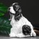 Piggy bank "Russian spaniel" 15x20x26cm