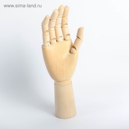 Model wooden art mannequin "Male Right Hand" 31 cm-1