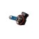 Hoodle lamp Xenite H11 (PGJ19-2) SW (blister 2 pcs)