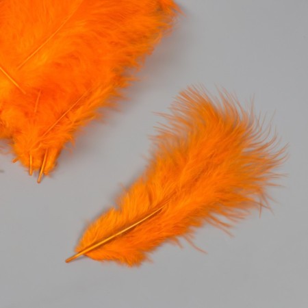 Pen of decorative goose downy "orange" set 40 pcs h = 10-15 cm-2
