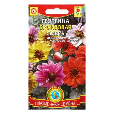 Georgin seeds "Bronze", mixture, 12 pcs-1