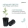 Pot for seedlings, for roses, 7 l, d = 22 cm, h = 26 cm, black, Greengo