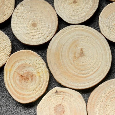 Saw a tree "pine", round, d = 3 - 4 cm, h = 3.5 mm-2