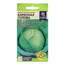 Belly cabbage seeds of white cabbage 