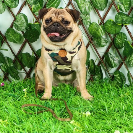 Set "Reflex", size L, leash 95 cm, og 25-64 cm, camouflage-9