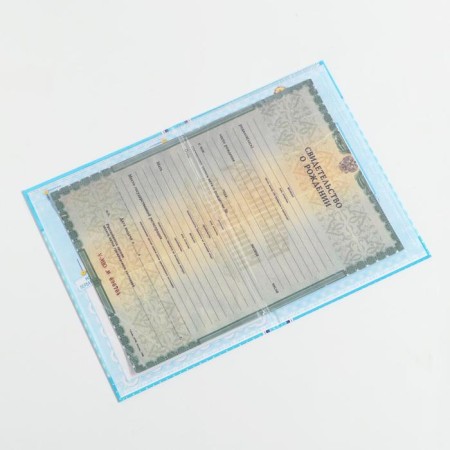 Folder for the birth certificate of the boy "stroller", a5-3