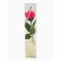 Soap rose fuchsia in a box