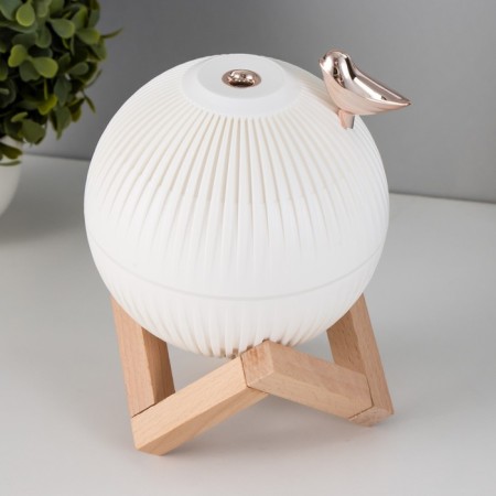 Night with a humidifier ball LED USB AKB White 12x12x11.5 cm Risalux-6