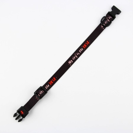 Collar My Dog is the Best, fastener - Fastex, 2 cm 25-40 cm-6