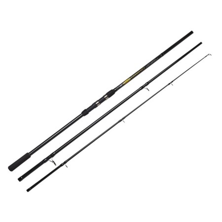 Carpo Salmo Sniper Carp rod, test 1-120, length 3.3 m.
