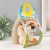 Growing gift Eco -Levik "King Leo" mix