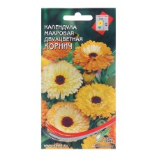 Calendula flowers 