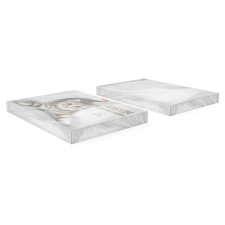 Album for drawing A4, 40 sheets, block 120 g/m², glue, Erich Krause "Tabby", 100% whiteness, solid substrate-1
