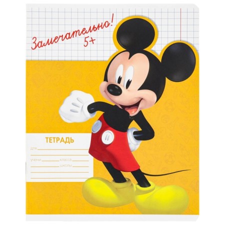 A set of notebooks 20 pieces, 12 sheets, Mickey Mouse-9