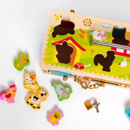 Bizikub "Suitcase with locks and sorter" 17 × 31 × 17 cm-1