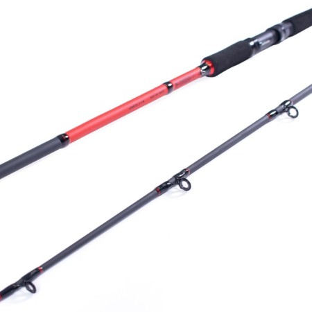 Spinning composite composite Namazu Predator 2.1 m, test 30-100 g