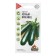 Black handsome zucchini seeds, 2 g