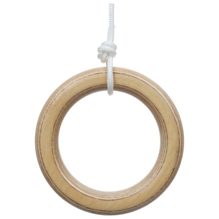 Gymnastic rings-3
