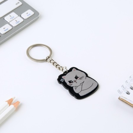 Acrylic key a keychain “I am harmful”, 7 x 12.5 cm-3