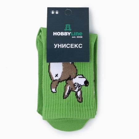 Women's socks "Corgi", green color, size 36-40-2