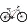 Bicycle 24 "Novatrack Action, Silver Color