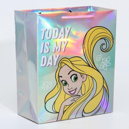 Gift package, 25x21x10 cm, holography, princesses-2
