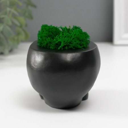 Kashpo concrete "Skull Silence" with moss 6.5x10 cm black (moss green stabilized)-3