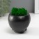 Kashpo concrete "Skull Silence" with moss 6.5x10 cm black (moss green stabilized)