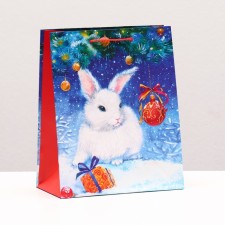 Gift package 