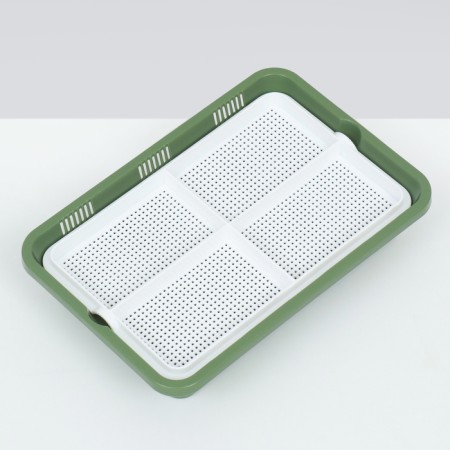 Tray for germination of grass to cats 26.5 x 17.5 x 5 cm-2
