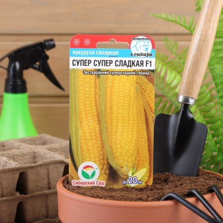 Corn seeds "Super Super Sweet", F1, 6 pcs.-2