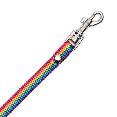 Kapron "Rainbow" leash, 1.6 m x 1 cm-4