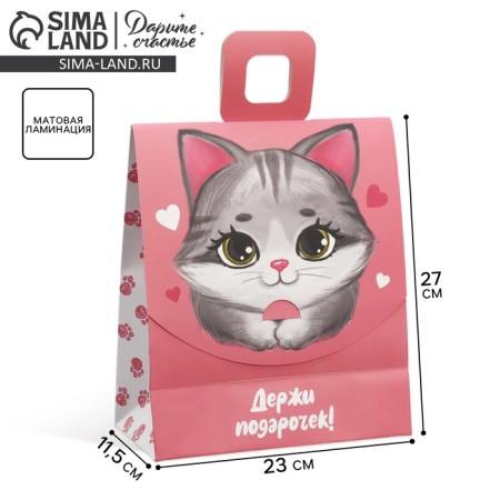 Gift package with a mold valve, packaging, Kitik, 23 x 27 x 11.5 cm-2