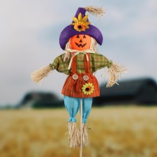 The garden scarecrow 