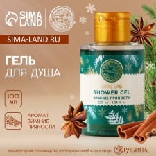 Shower gel, 100 ml, aroma of winter spices, Ural Lab