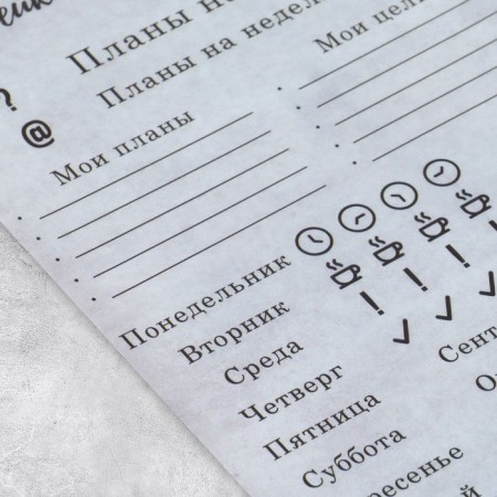 Stickers for the diary "Plans", tracing paper, 13 x 18 cm-1