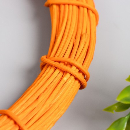 Ring Roadan for manufacturing the catfish "Orange" d = 20 cm-1