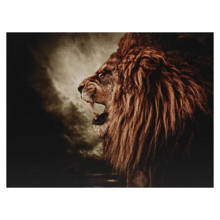 Khlest picture on the subframe "Fury" 50x70 cm