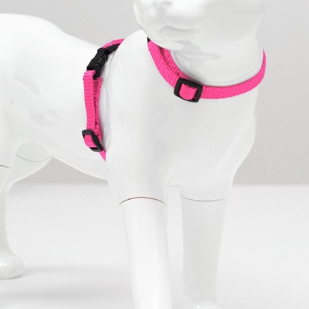 Kit for cats, width 1 cm, Osh 16.5-27 cm, fire 21-35 cm, leash 120 cm, pink-1