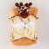 Gift set: Comforter+Giraffe blanket