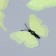 Magnet Plastic "Butterfly Double Wings - Shine" Light green set 12 pcs
