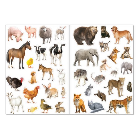Reusable stickers Set "Such different animals", A4, 2 pcs.-2